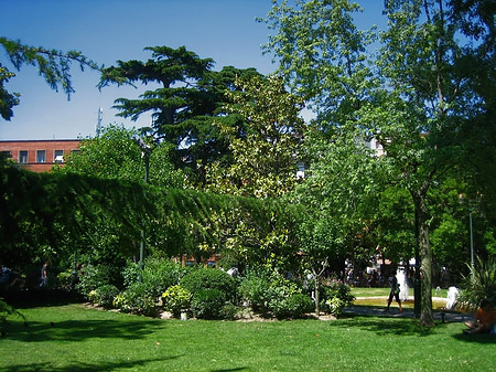Parkanlage Foto 